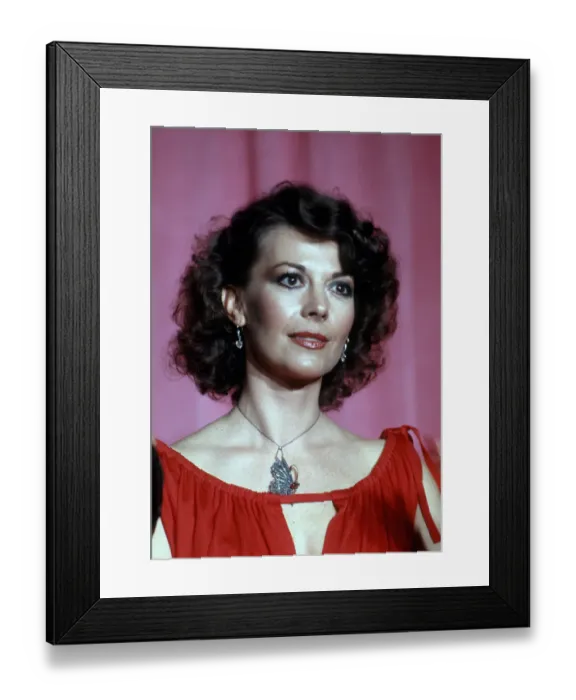 Framed Print : 50th Annual Academy Awards