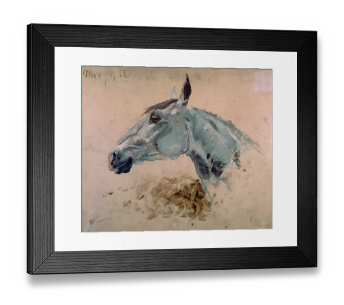 Framed Print : White Gazelle Horse (Cheval blanc gazelle), by Henri de Toulouse-Lautrec, 1922, 20th Century, oil on canvas, 48 x 59 cm Framed Print : White Gazelle Horse (Cheval blanc gazelle), by Henri de Toulouse-Lautrec, 1922, 20th Century, oil on canvas, 48 x 59 cm