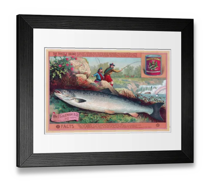 Framed Print : Wm T Coleman BC Native Salmon Framed Print : Wm T Coleman BC Native Salmon