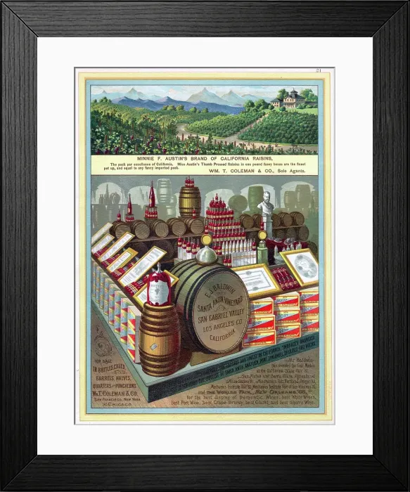 Framed Print : Wm T Coleman BC Native Salmon Framed Print : Wm T Coleman BC Native Salmon