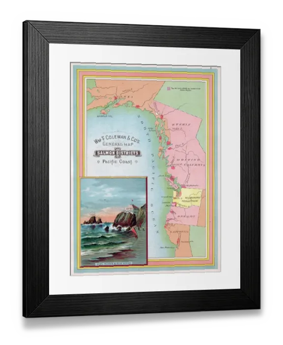 Framed Print : Wm T Coleman BC Native Salmon Framed Print : Wm T Coleman BC Native Salmon