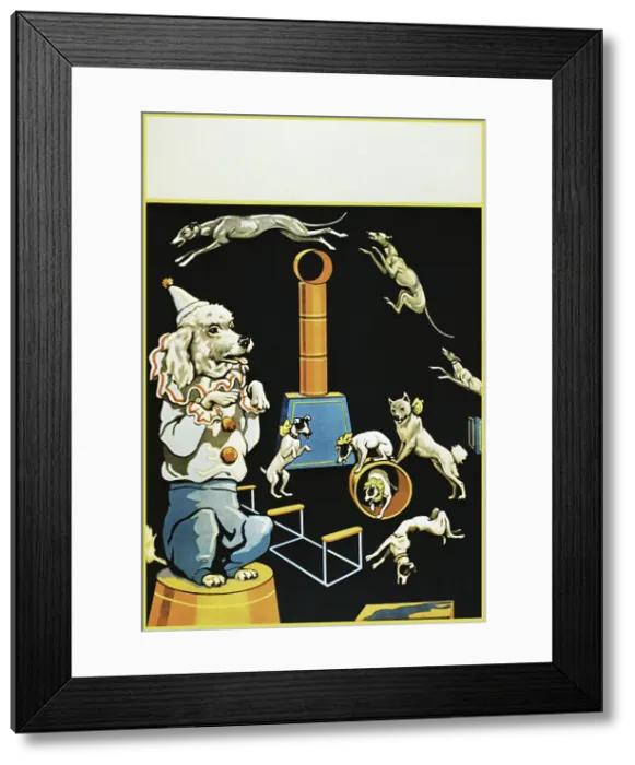 Framed Print : Vintage poster of circus dogs doing tricks Framed Print : Vintage poster of circus dogs doing tricks