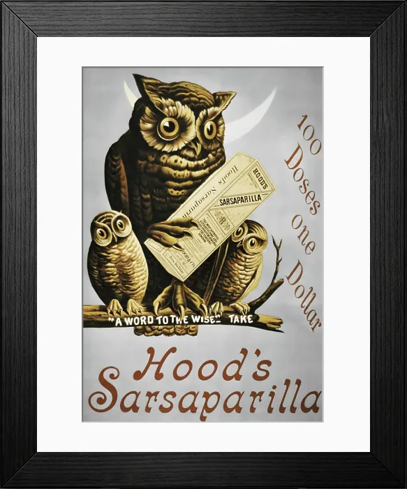 Framed Print : Vintage poster of owl with two chicks on tree branch Framed Print : Vintage poster of owl with two chicks on tree branch
