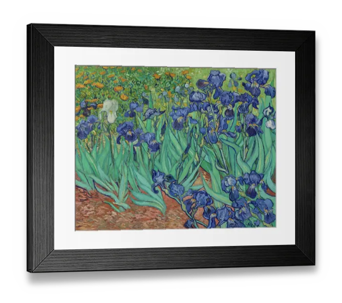 Framed Print : Irises, 1889. Creator: Vincent van Gogh. (Photo by Heritage Art / Heritage Framed Print : Irises, 1889. Creator: Vincent van Gogh. (Photo by Heritage Art / Heritage