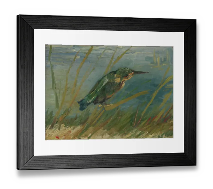 Framed Print : Kingfisher By The Waterside Framed Print : Kingfisher By The Waterside