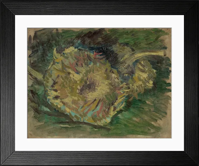 Framed Print : Sunflowers Gone To Seed Framed Print : Sunflowers Gone To Seed
