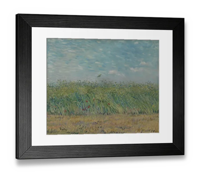 Framed Print : Wheatfield With Partridge Framed Print : Wheatfield With Partridge