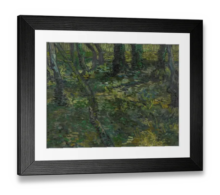 Framed Print : Undergrowth