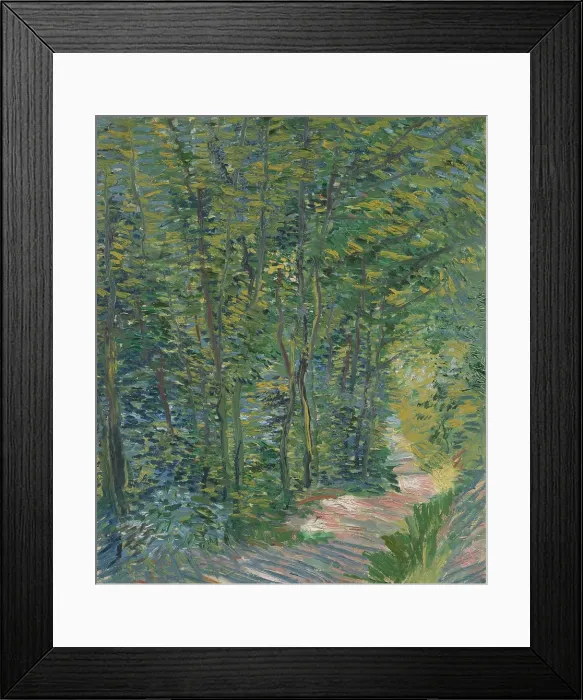Framed Print : Path In The Woods