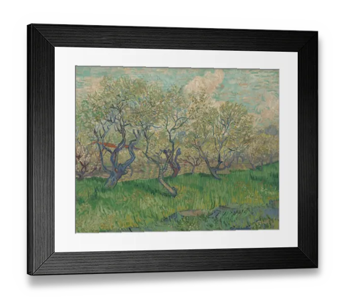 Framed Print : Orchard In Blossom Framed Print : Orchard In Blossom