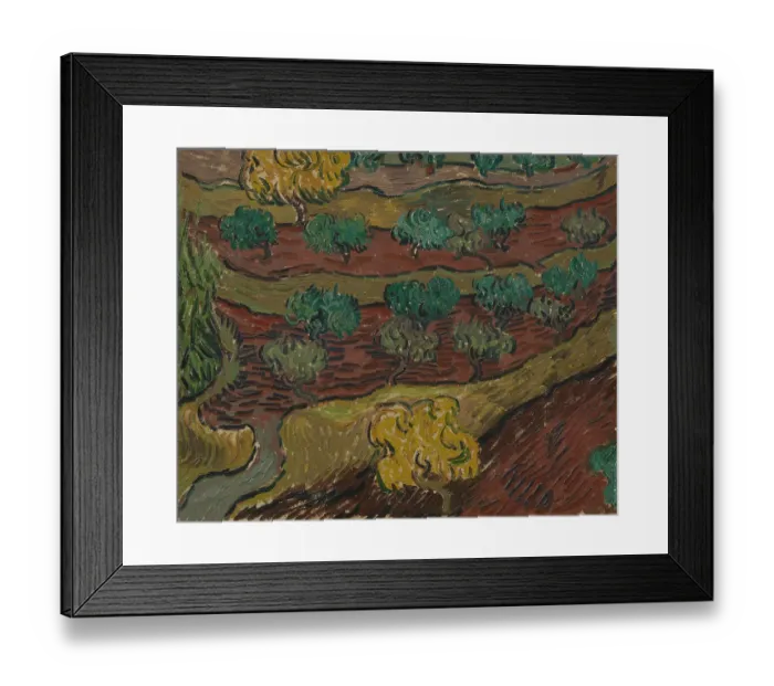 Framed Print : Olive Trees On A Hillside