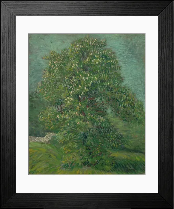 Framed Print : Blossoming Chestnut Tree Framed Print : Blossoming Chestnut Tree