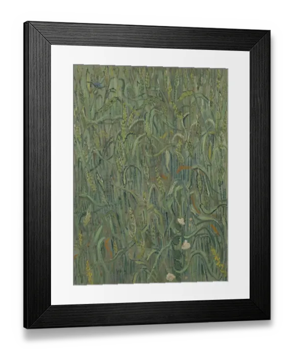 Framed Print : Ears Of Wheat Framed Print : Ears Of Wheat