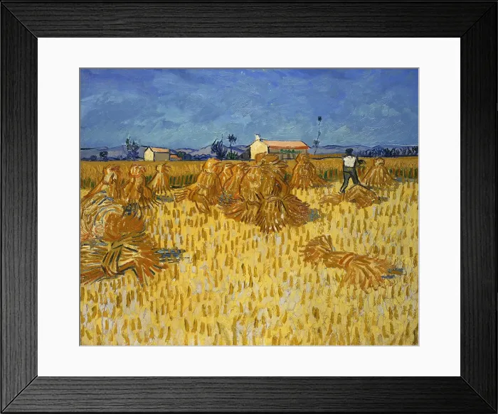 Framed Print : Harvest In Provence Framed Print : Harvest In Provence