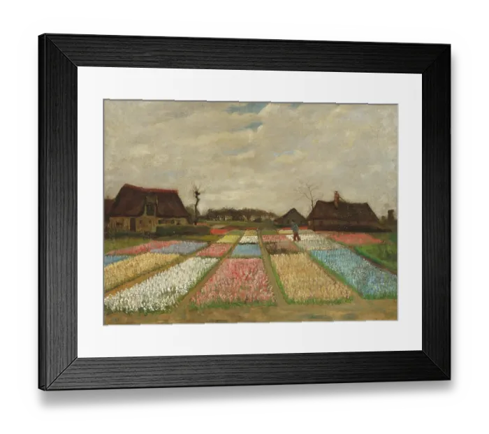Framed Print : Flower Beds In Holland Framed Print : Flower Beds In Holland