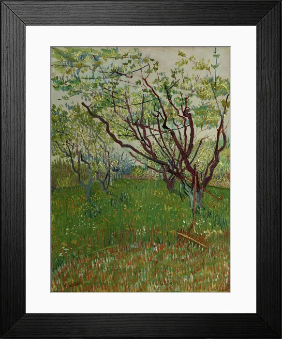Framed Print : The Flowering Orchard Framed Print : The Flowering Orchard