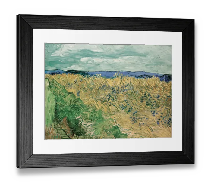 Framed Print : Wheatfield With Cornflowers Framed Print : Wheatfield With Cornflowers
