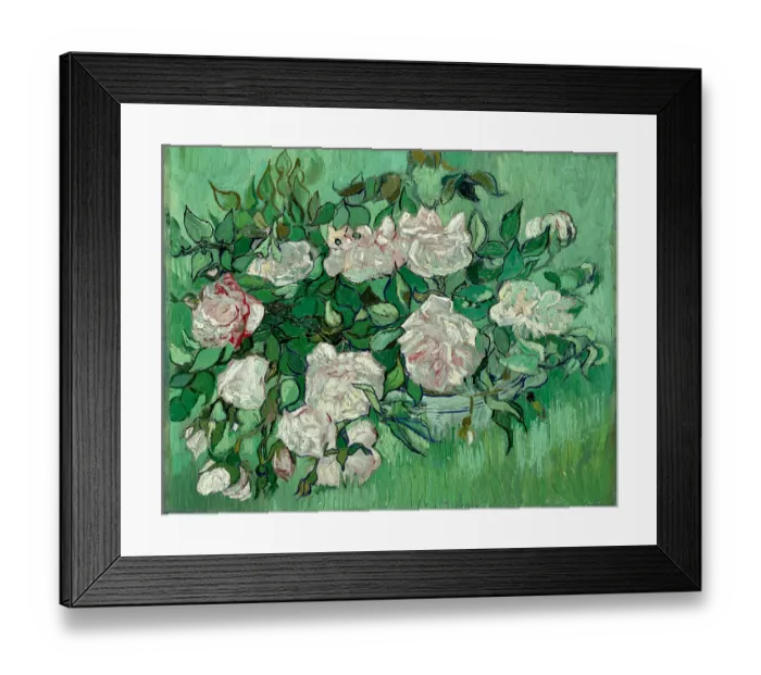 Framed Print : Pink Roses Framed Print : Pink Roses