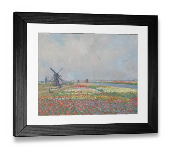 Framed Print : Tulip Fields Near The Hague Framed Print : Tulip Fields Near The Hague