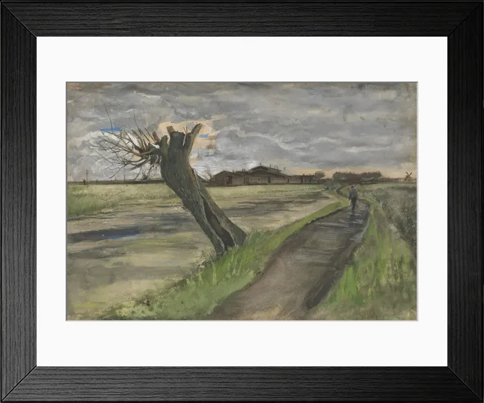 Framed Print : Pollard Willow Framed Print : Pollard Willow