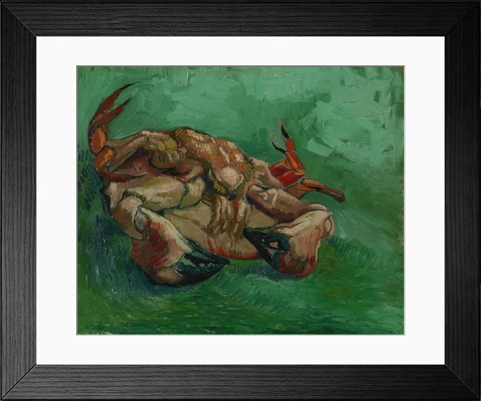 Framed Print : A Crab On Its Back Framed Print : A Crab On Its Back