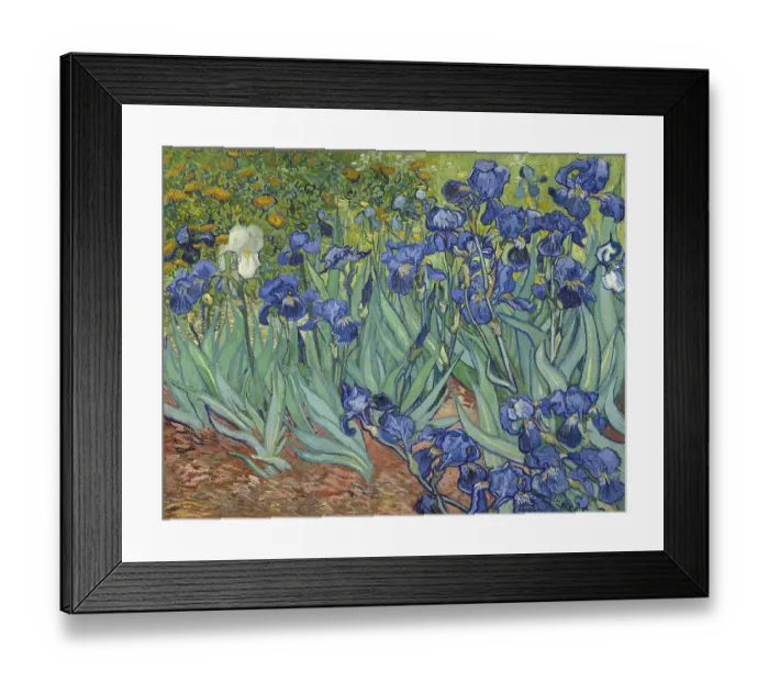 Framed Print : Irises, 1889 Framed Print : Irises, 1889