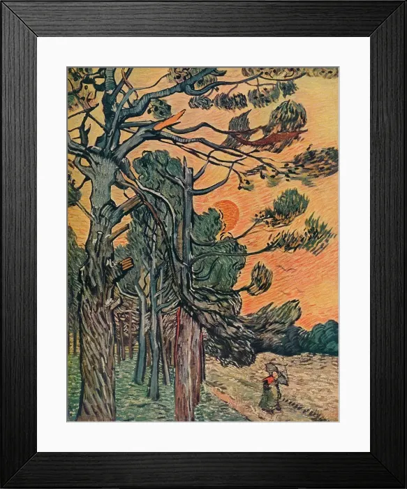 Framed Print : Foret De Sapins Au Declin Du Jour Framed Print : Foret De Sapins Au Declin Du Jour