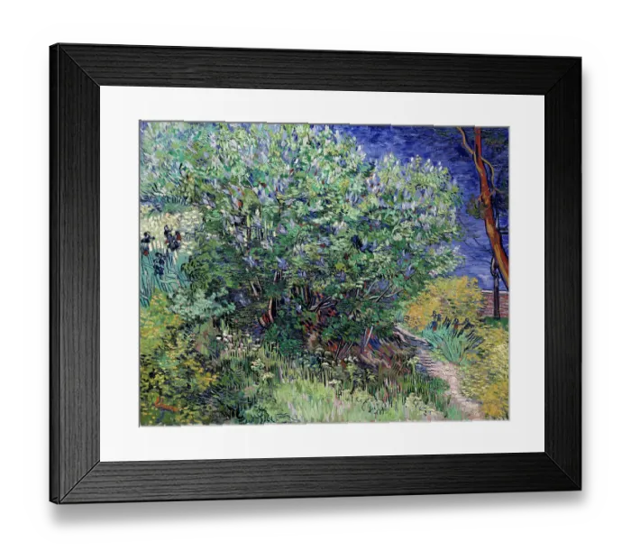 Framed Print : Lilac Bush, 1889. Artist: Vincent van Gogh Framed Print : Lilac Bush, 1889. Artist: Vincent van Gogh