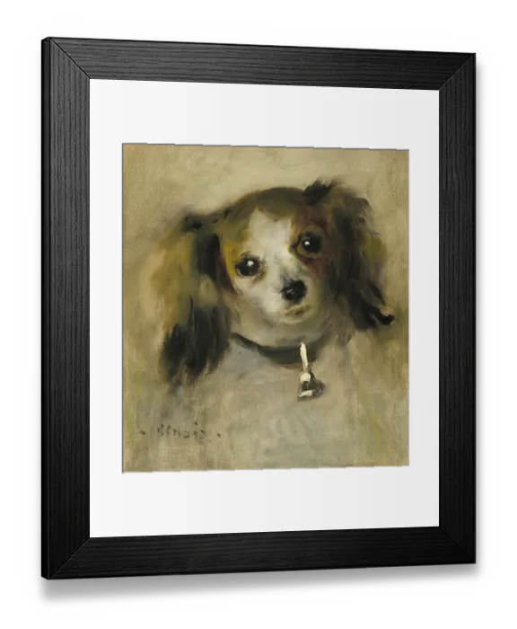 Framed Print : Head Of A Dog Framed Print : Head Of A Dog