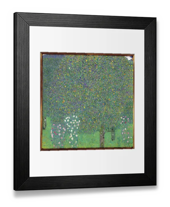 Framed Print : Rosebushes Under the Trees, by Gustav Klimt, 1905 about, 19th Century, oil on canvas, cm 110 x 110 Framed Print : Rosebushes Under the Trees, by Gustav Klimt, 1905 about, 19th Century, oil on canvas, cm 110 x 110