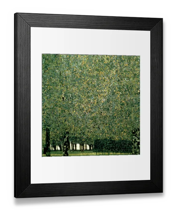 Framed Print : Park, 1910. Artist: Gustav Klimt Framed Print : Park, 1910. Artist: Gustav Klimt