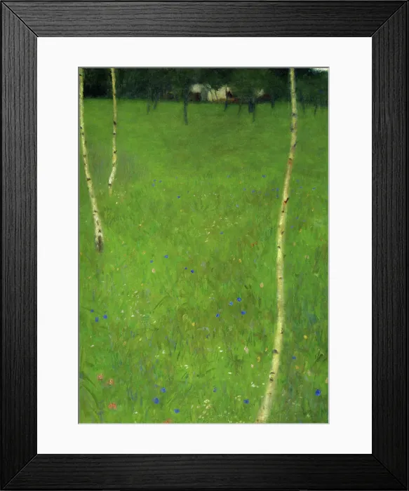 Framed Print : Farmhouse with Young Birch Trees Framed Print : Farmhouse with Young Birch Trees