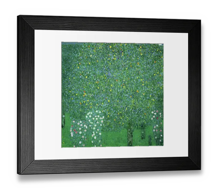 Framed Print : Roses Under Trees Framed Print : Roses Under Trees
