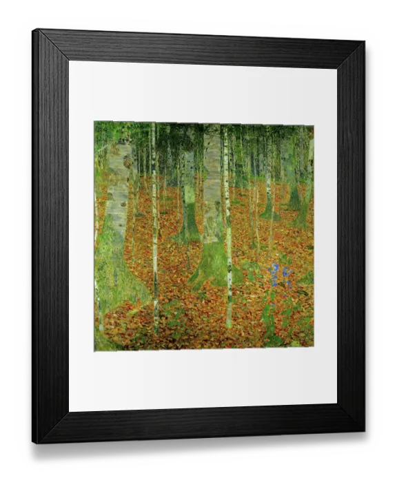 Framed Print : Birch Forest in Autumn Framed Print : Birch Forest in Autumn