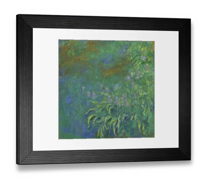 Framed Print : Irises, 1914 / 17. Artist Claude Monet. (Photo by by Heritage Art / Heritage