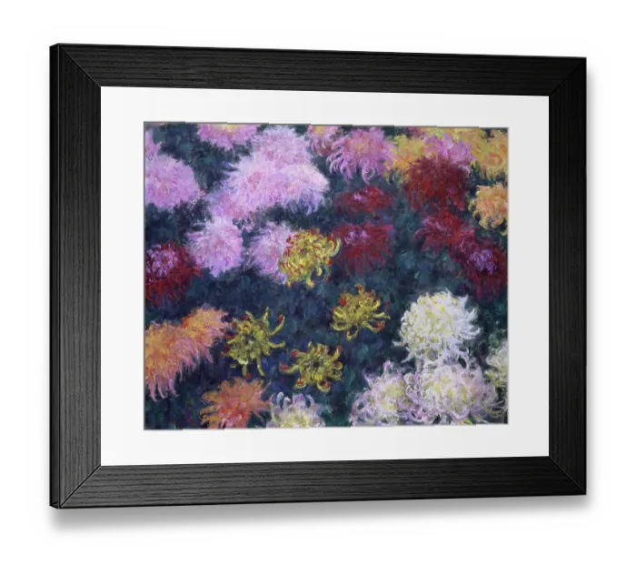 Framed Print : Massif De Chrysanthèmes (Bed Of Chrysanthemums) Framed Print : Massif De Chrysanthèmes (Bed Of Chrysanthemums)