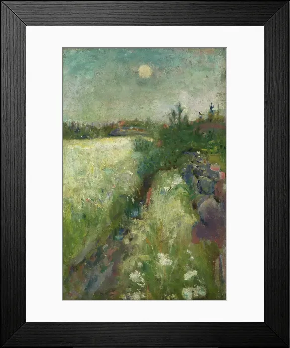 Framed Print : Flowery Meadow At Veierland Framed Print : Flowery Meadow At Veierland
