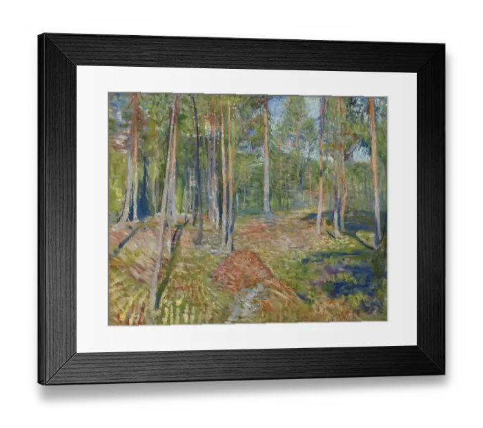 Framed Print : Pine Forest, 1891-1892 Framed Print : Pine Forest, 1891-1892