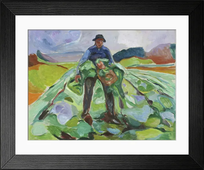 Framed Print : Man In The Cabbage Field Framed Print : Man In The Cabbage Field