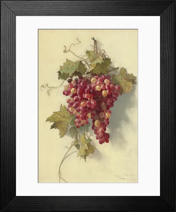 Framed Print : Grapes Against White Wall Framed Print : Grapes Against White Wall