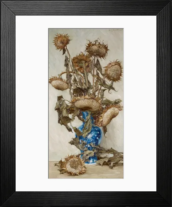 Framed Print : Helianthus Framed Print : Helianthus