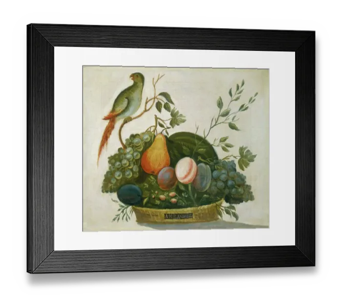 Framed Print : Basket Of Fruit With Parrot Framed Print : Basket Of Fruit With Parrot