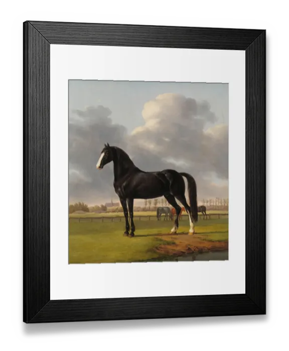 Framed Print : Adriaan Van Der Hoop'S Trotter De Vlugge (The Fast One) In A Meadow