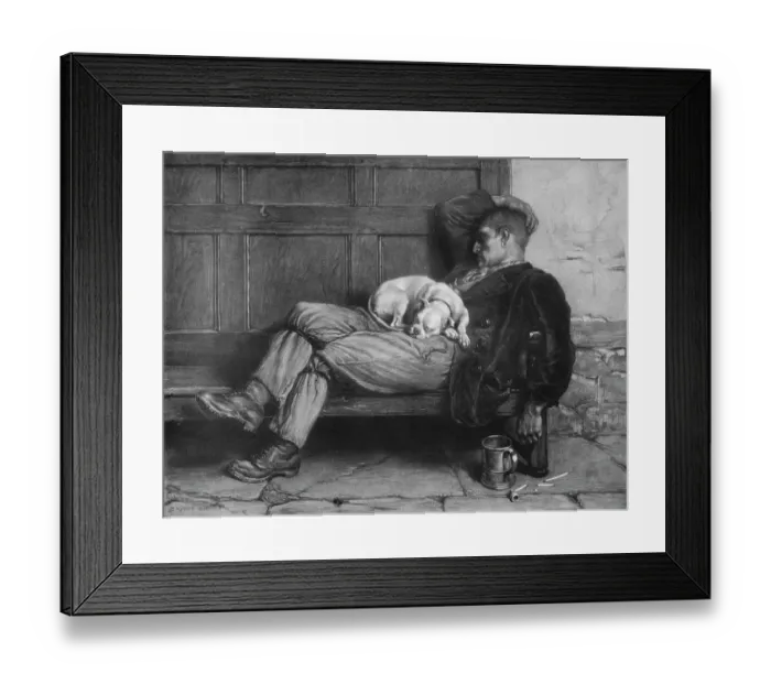 Framed Print : Let Sleeping Dogs Lie!