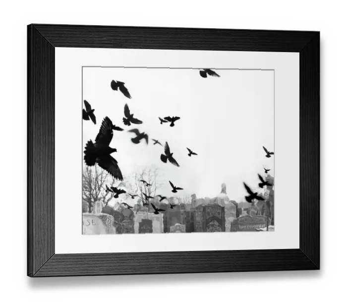 Framed Print : Birds Flying Over Cemetery in the 1960's Framed Print : Birds Flying Over Cemetery in the 1960's