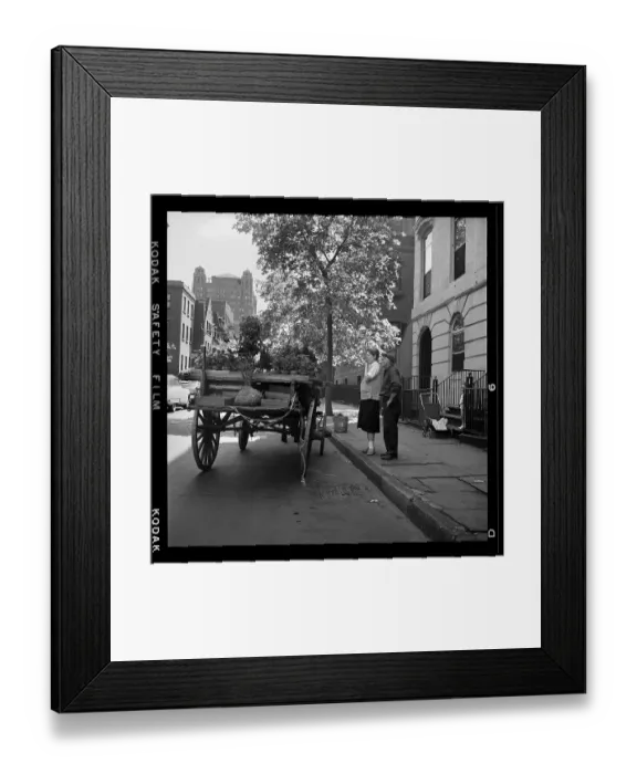 Framed Print : Horse Delivers Plants in 1950's Brooklyn Heights Framed Print : Horse Delivers Plants in 1950's Brooklyn Heights