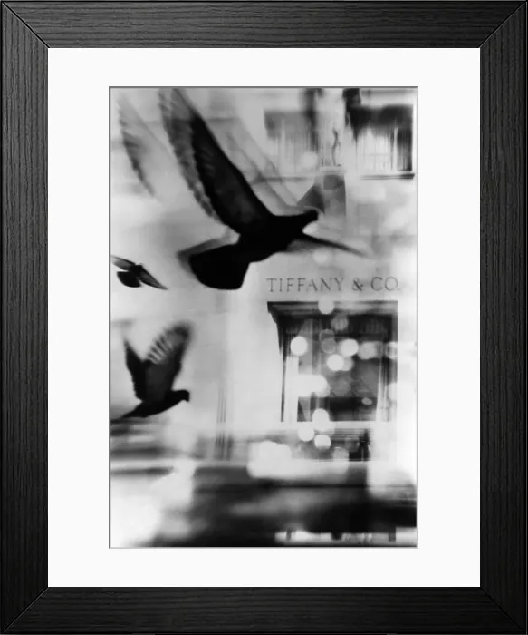 Framed Print : Tiffany's. NEW YORK - 1957: A montage of pigeons in front of Tiffany