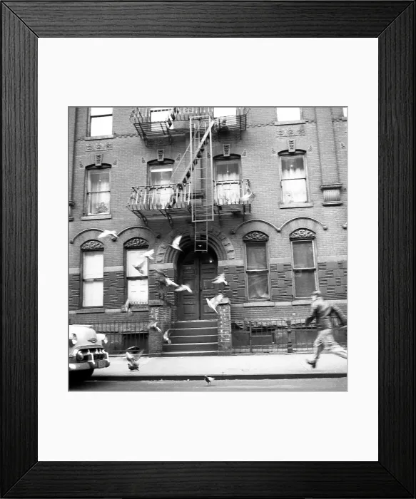 Framed Print : Man Chases Pigeons in 1957 Manhattan Framed Print : Man Chases Pigeons in 1957 Manhattan