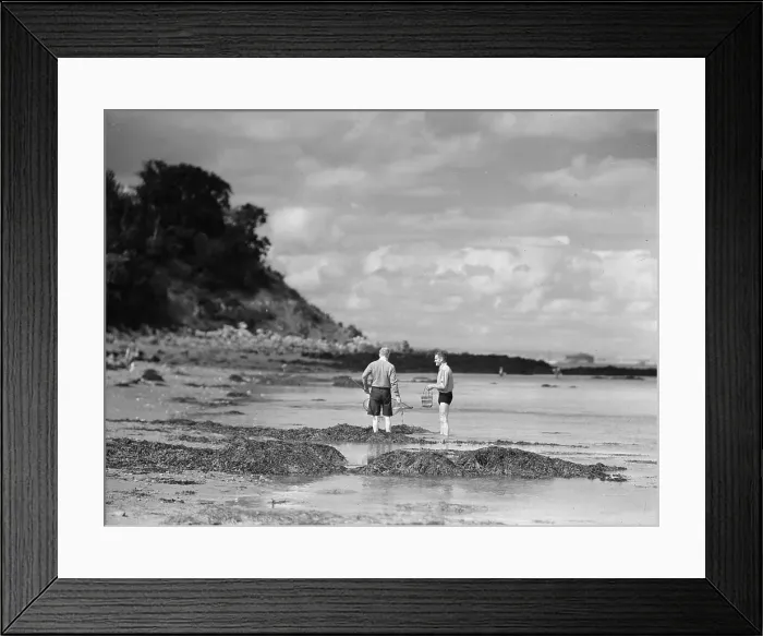 Framed Print : Beach Pals Framed Print : Beach Pals