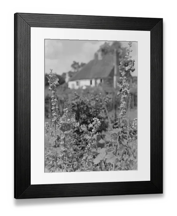 Framed Print : Country Cottage Framed Print : Country Cottage